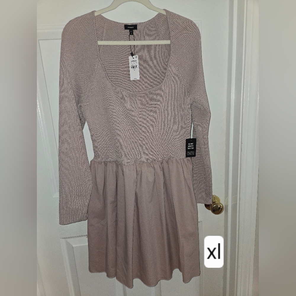 Express Dusty Pink Long Sleeve Dress
